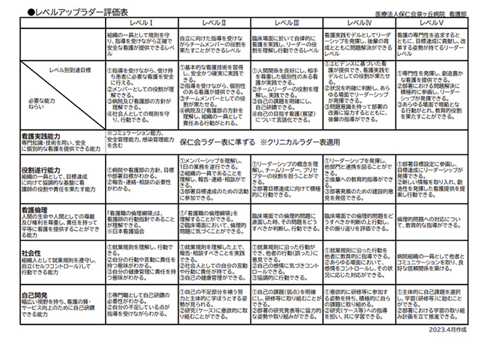 レベルアップラダー評価表